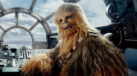 Des news de Chewbacca dans Les Derniers Jedi et Solo A star Wars Story