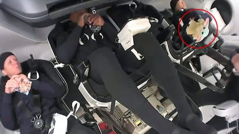 L'Enfant est dans l'espace avec Crew 1 de la Nasa - SpaceX